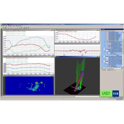 Project 8981 Background