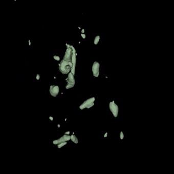 Project 9527 Background