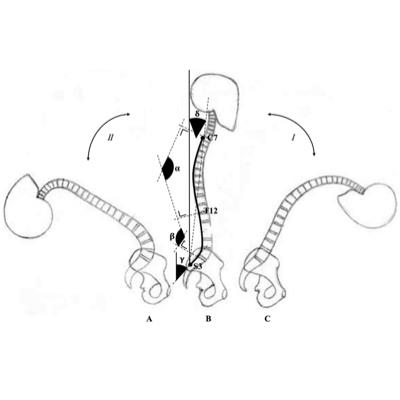 Publication 2413 Background