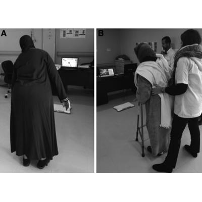 Publication 2690 Background