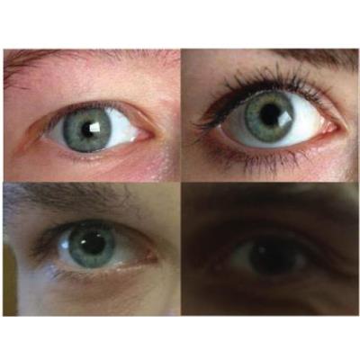 Publication 2841 Background