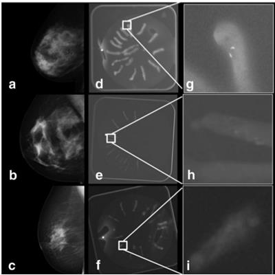 Publication 2996 Background