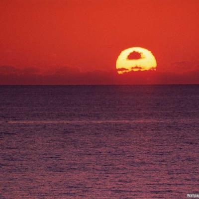 Publication 535 Background